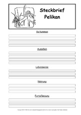 Steckbriefvorlage-Pelikan.pdf